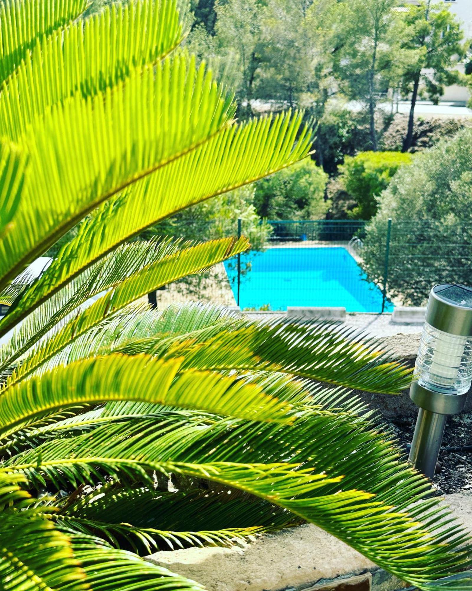 Vuemer Bandol - Grande Terrasse De 45M2 Vue Mer Piscine Parking Esterno foto